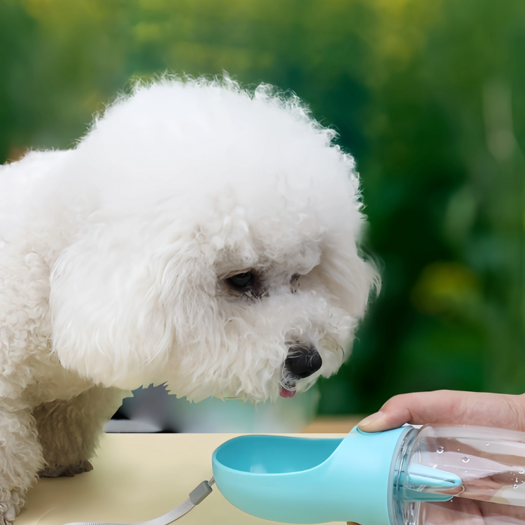 Garrafa Portátil para Pets – Água e Alimentos Sempre à Mão