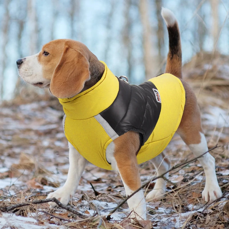 Colete Térmico Impermeável para Cães